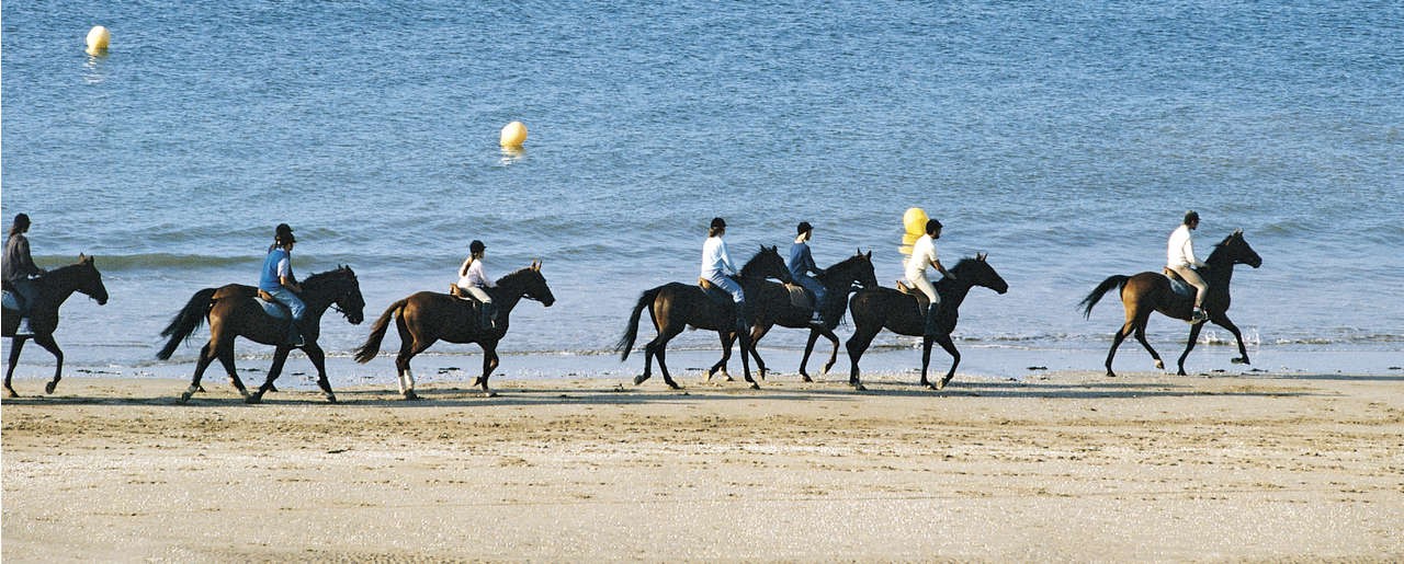 Hotel Castel Marie Louise - Horse ride on the beach